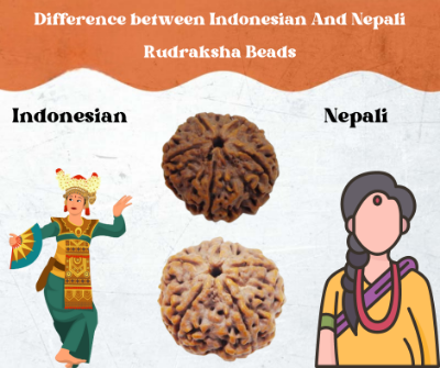 Difference between Indonesian And Nepali Rudraksha Beads